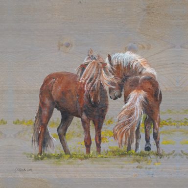 Schilderen op steigerhout