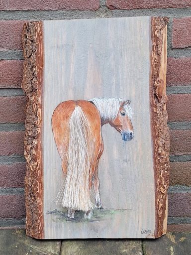Plank met staart